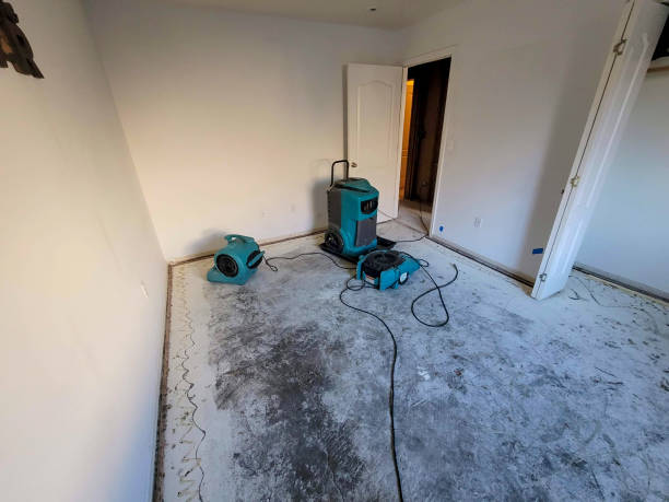 Best Water damage restoration near me  in East Camden, AR