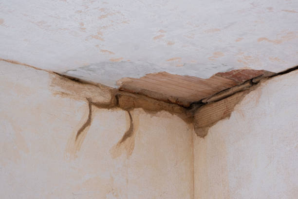 Best Commercial water damage restoration  in East Camden, AR