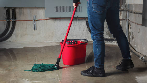 Best Professional water damage repair  in East Camden, AR