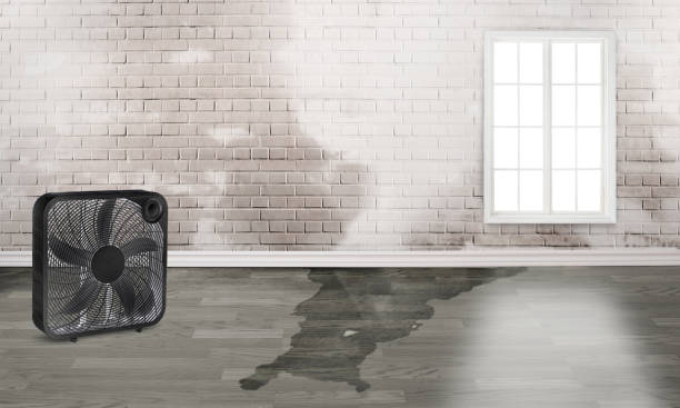 Best Water damage restoration near me  in East Camden, AR