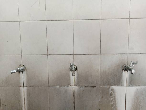 Best Fire Damage Restoration  in East Camden, AR