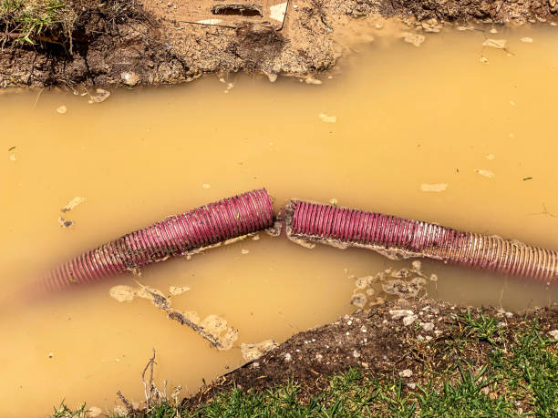 Best Water damage cleanup near me  in East Camden, AR