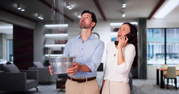 Best Ceiling water damage repair  in East Camden, AR